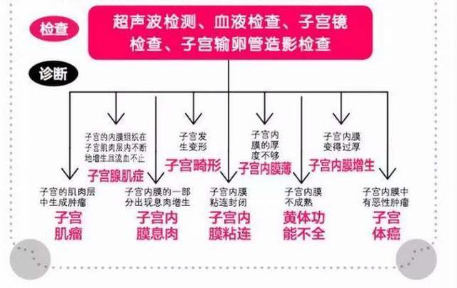 赠卵试管婴儿的胚胎需要多长时间才能克隆？