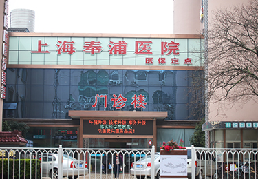 李东辉的供卵试管婴儿成功率是多少？