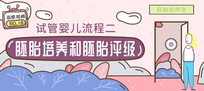 上海第三代借卵试管婴儿的价格高吗？它的费用是多少？