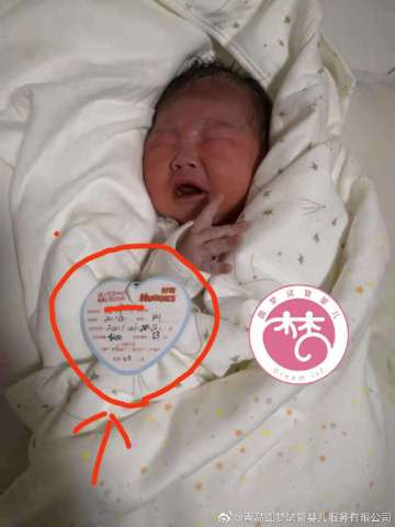 赠卵试管婴儿周期中发现宫腔粘连该怎么办？