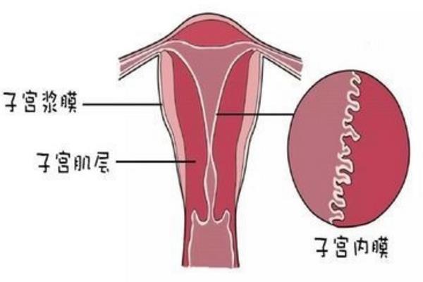 谁说40岁以上的妇女不能做供卵试管代生供卵？如果你满足这些条件，你可以。