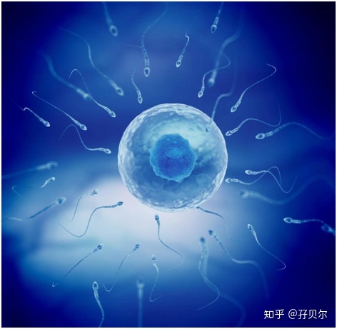 借卵做二代代生试管治疗期间感冒了该怎么办？如何应对？
