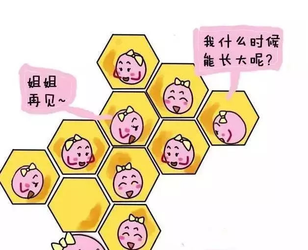 一个借卵试管里有两个胚胎，怀上宝宝或双胞胎的几率有多大？