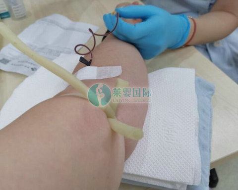 上海做供卵试管最好的医院是哪家