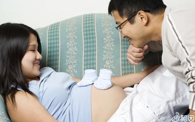 做供卵试管婴儿上海哪家医院成功率最高