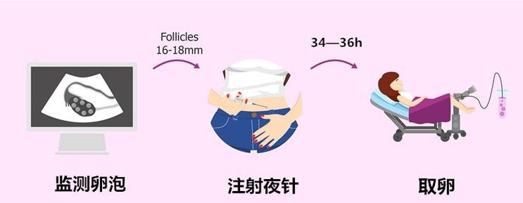 供卵试管双胞胎长得像不像