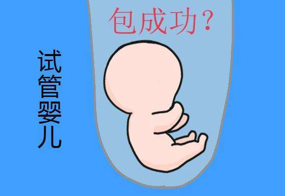 上海省人民医院借卵试管婴儿多少钱