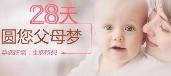 三代供卵试管婴儿保险
