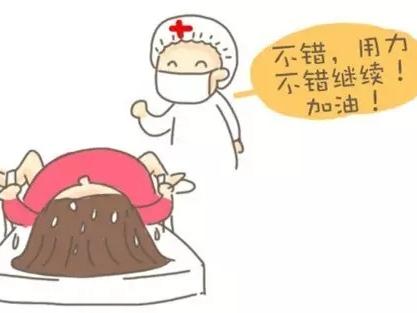 三代试管成功率最高吗
