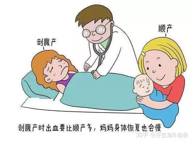 三代试管成功率最高吗