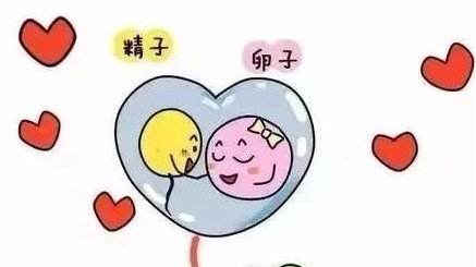 多年未孕想去生殖科检查,上海哪个医院的最好？