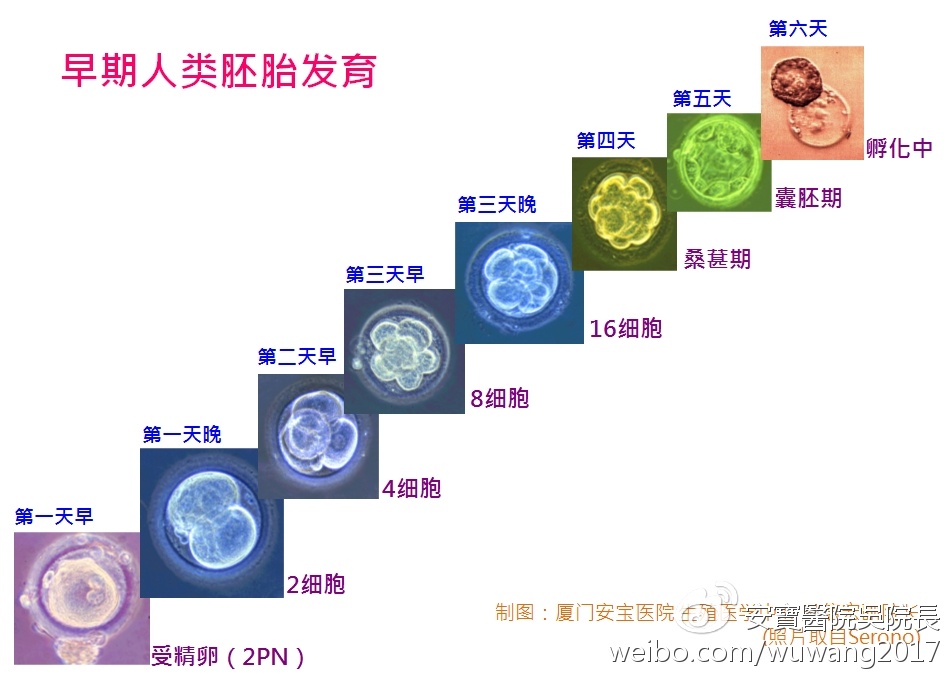 上海试管代怀失败群+上海试管代怀套餐流程