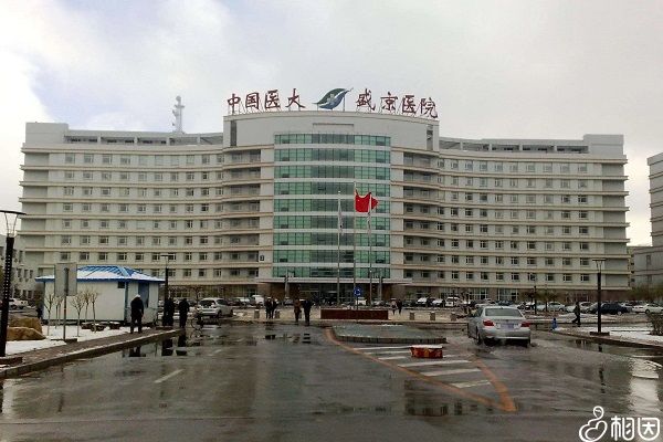 精子先生和卵子小姐在相遇之前都经历了什么