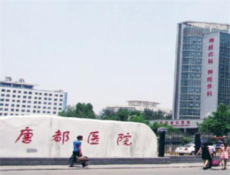 供卵移植前多吃什么+供卵时吃什么雌激素