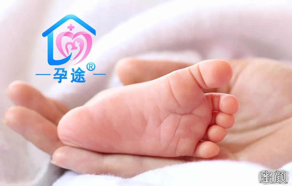 上海私立代怀试管微刺激方案疼吗附上海试管费用预算