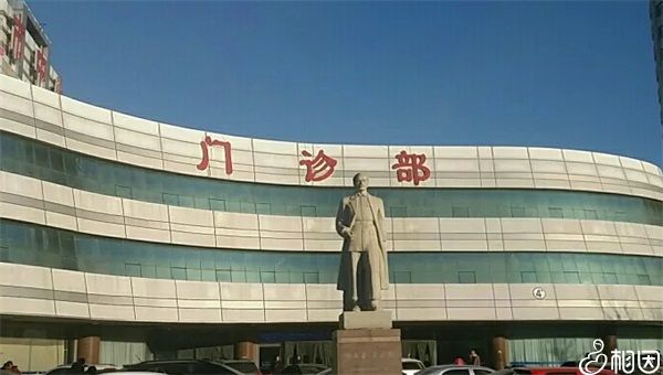 爆料信息求子代怀价格_每天健康长大