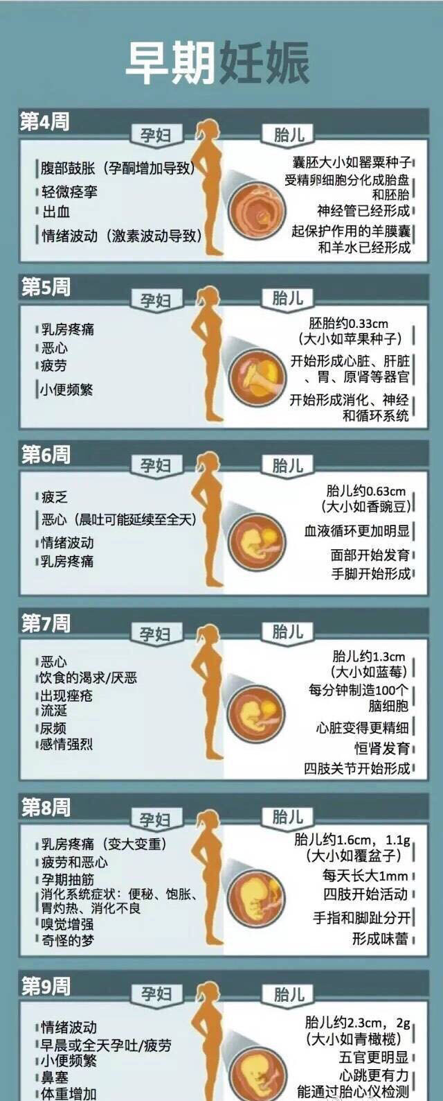 做完代怀方法后要注意什么（上海市有几家绝经了可以试管代怀吗婴儿）