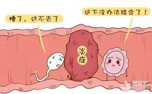试管代怀试管婴儿网站的优点和弊端各有哪些