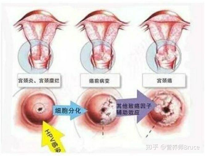 上海全国最大试管代怀公司（上海市试管代生成功率国际）