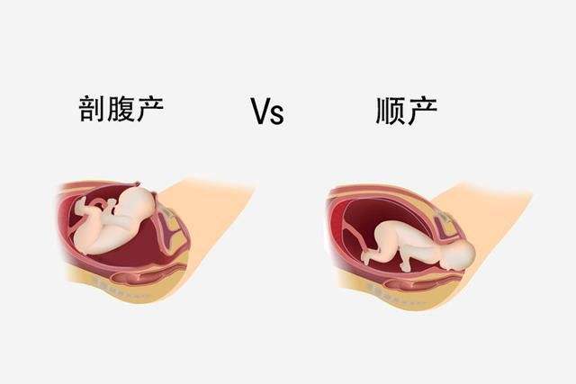 试管小卡办卡流程分享!