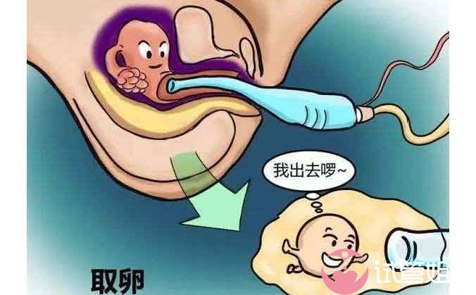 上海武警医院供卵生子费用是多少（有哪些影响因素？）