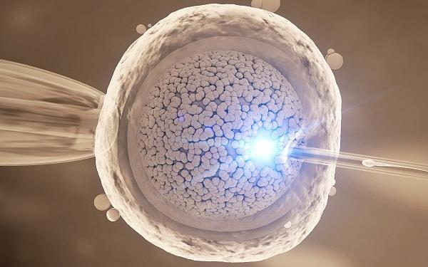 2024上海代怀生男孩医院咨询医院排名,三代供卵费用参考