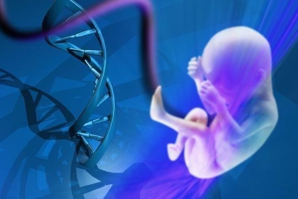上海供卵请到上海助孕+上海供卵到上海市助孕全心