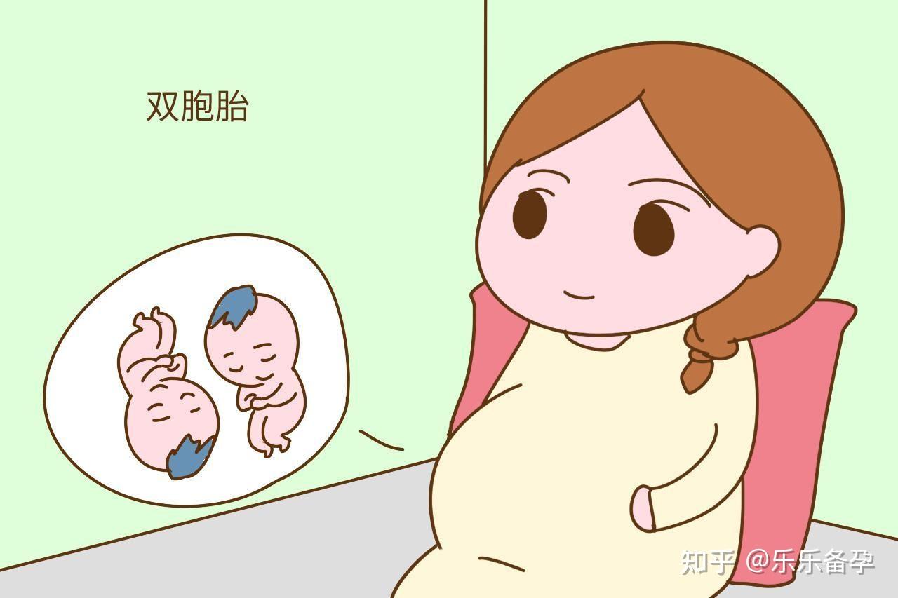 2024上海有合法的公立医院做供卵试管多少钱吗