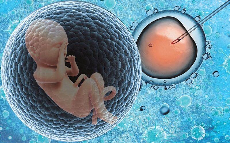 专业代怀孕价格降调的费用是多少（供卵代生女孩降调怎么算）