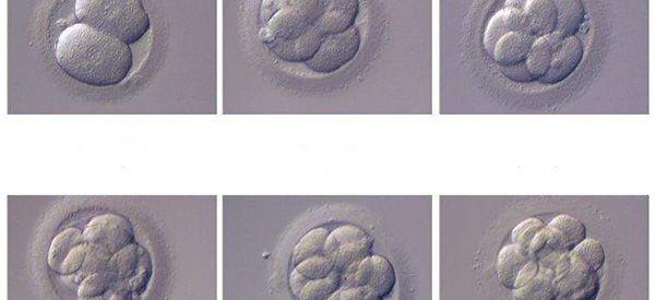供卵助孕代怀生子医院机构血型不对